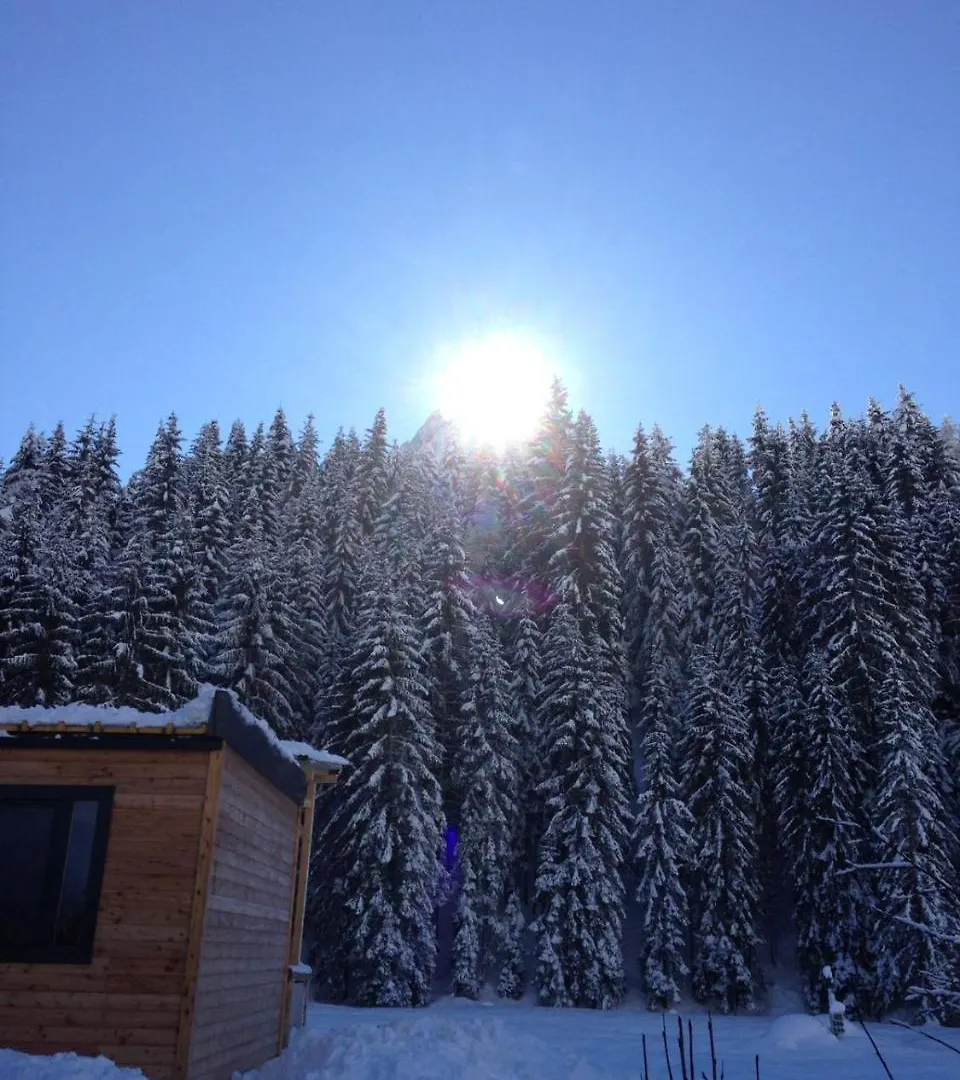 Eirl Dolomites Retreat Sappada Bed & Breakfast