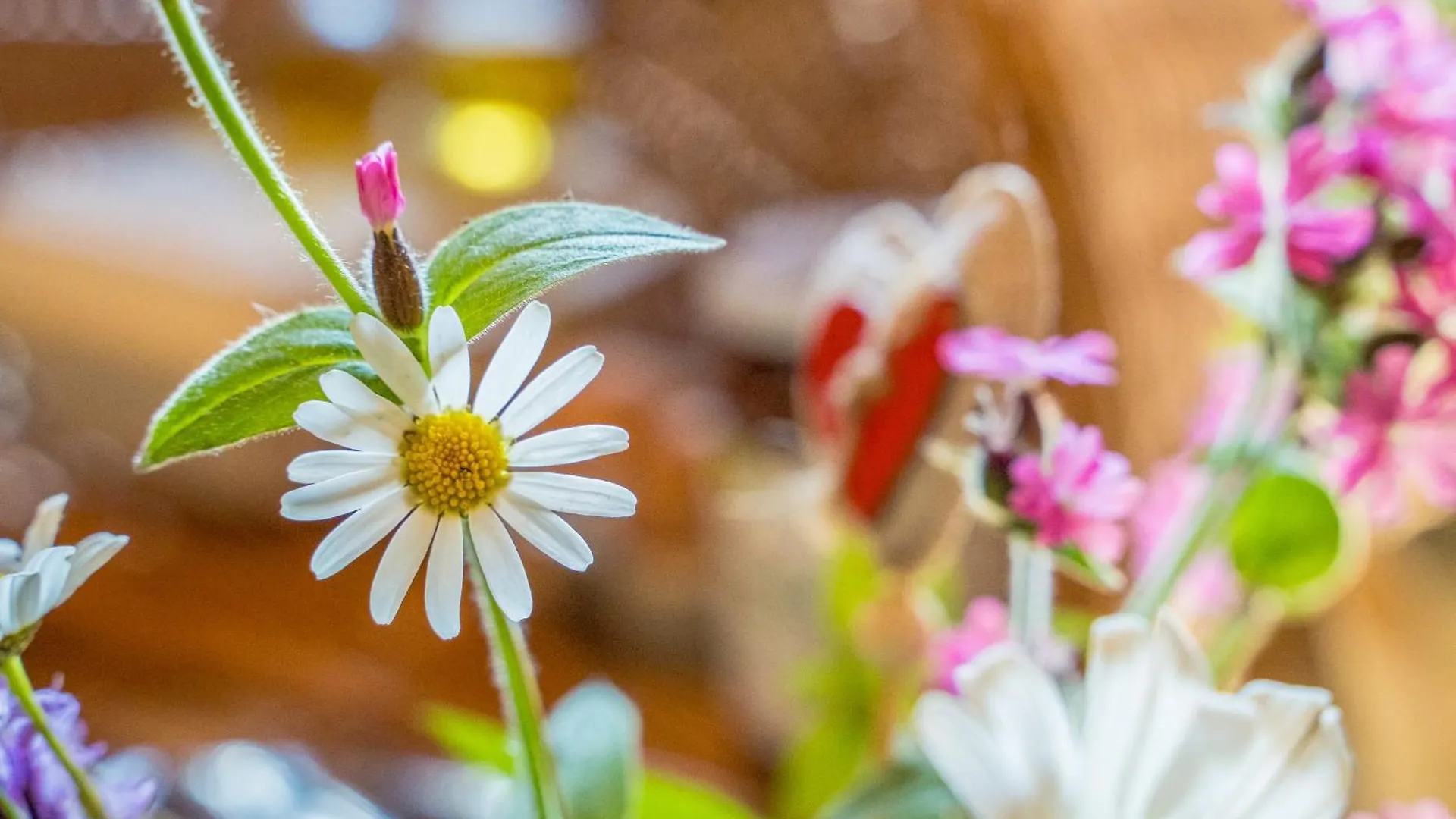 ***  Eirl Dolomites Retreat Sappada Bed & Breakfast Italy